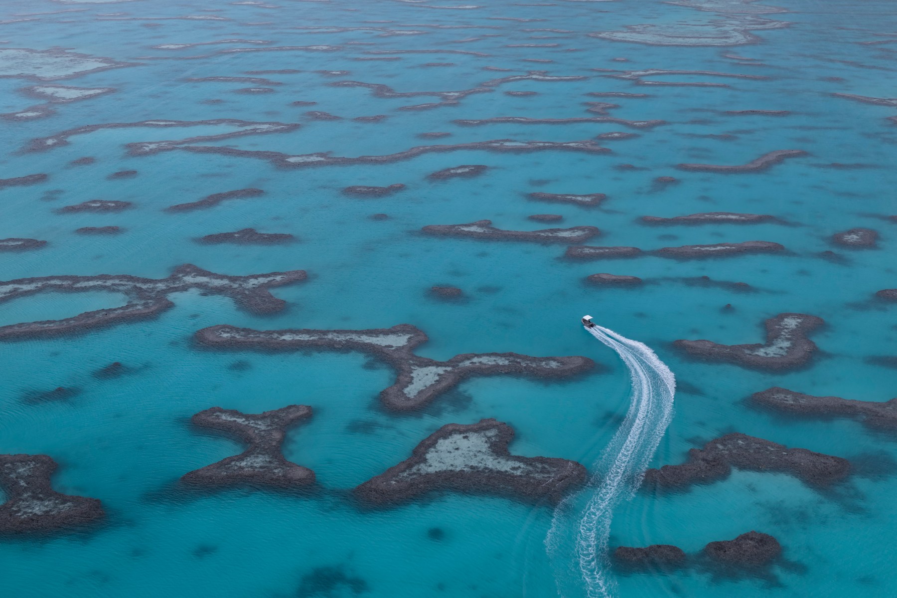 a aerial view of the great barrier reef